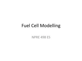 Fuel Cell Modelling