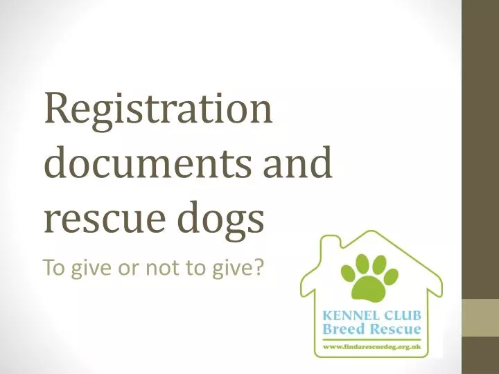 registration documents and rescue dogs