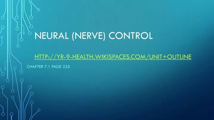 neural nerve control http yr 9 health wikispaces com unit outline