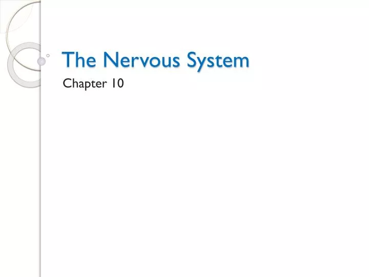 the nervous system