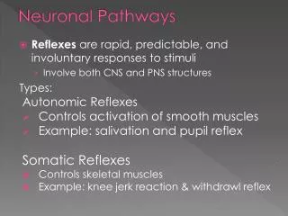Neuronal Pathways