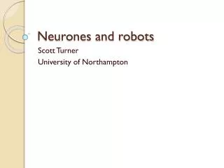 Neurones and robots