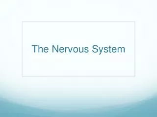 The Nervous System