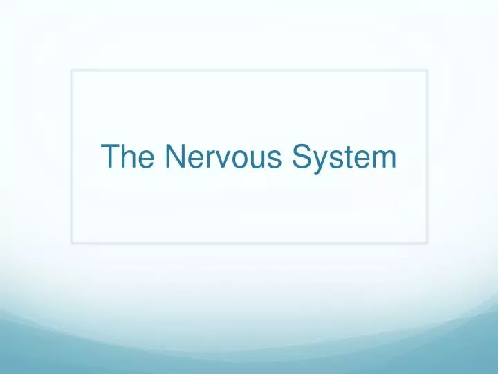 the nervous system