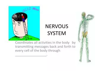 NERVOUS SYSTEM