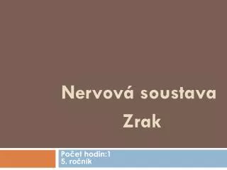 nervov soustava zrak