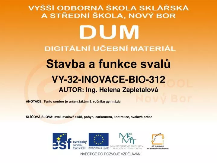 stavba a funkce sval