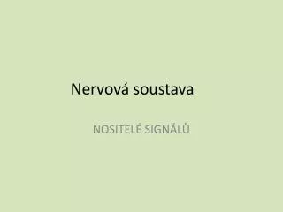 nervov soustava