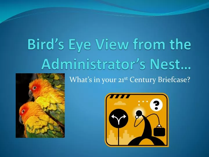 bird s eye view from the administrator s nest