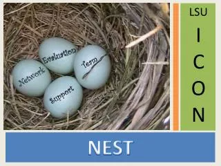 NEST