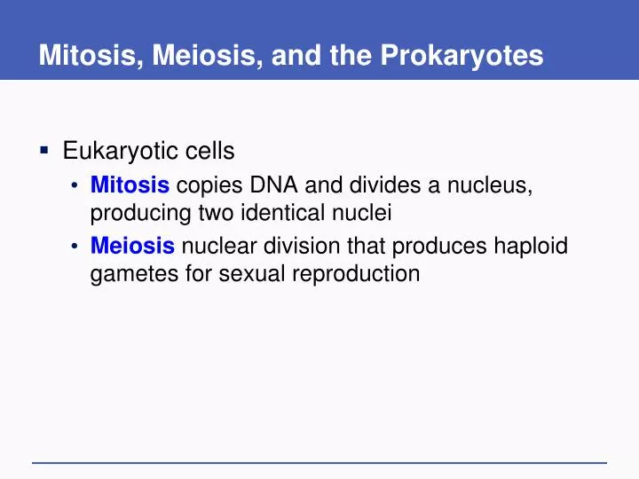 mitosis meiosis and the prokaryotes