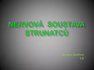 nervov soustava strunatc