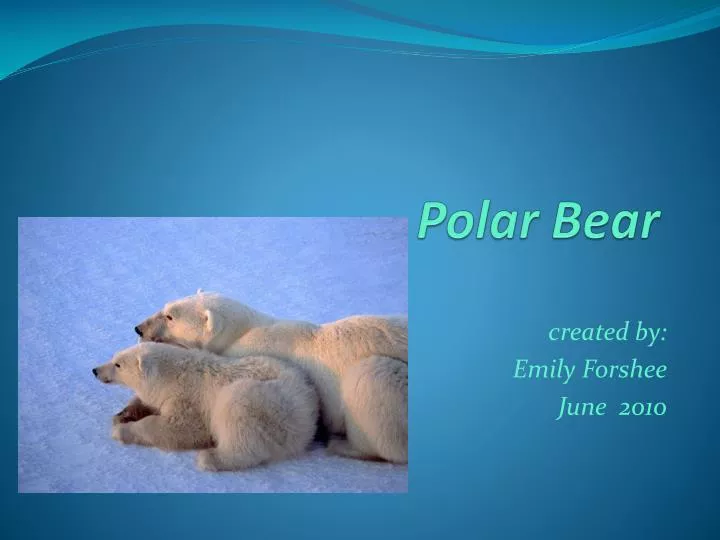 polar bear