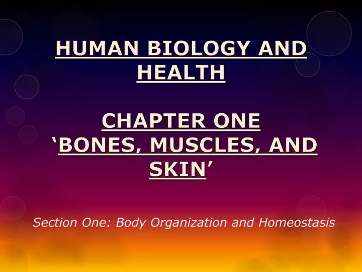 human biology and health chapter one bones muscles and skin
