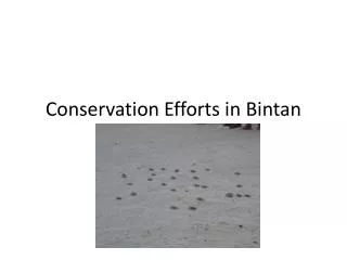 Conservation Efforts in Bintan