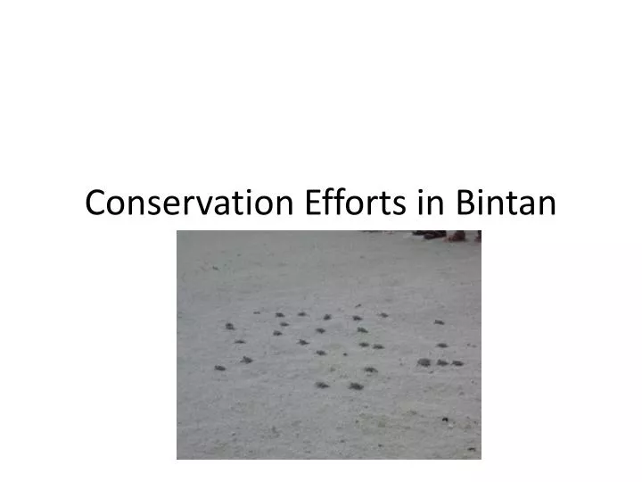 conservation efforts in bintan