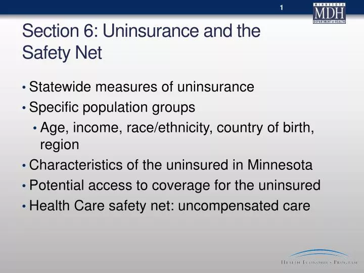 section 6 uninsurance and the safety net