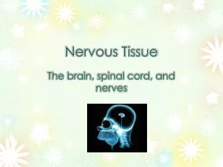 nervous tissue