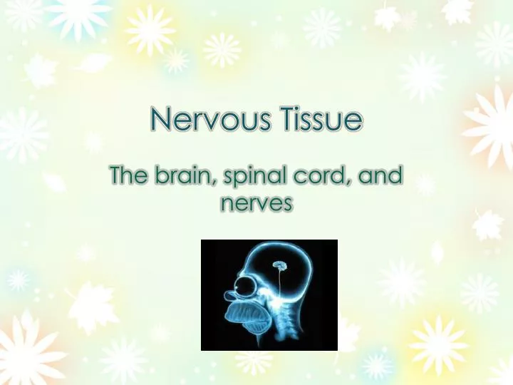 nervous tissue