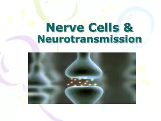 Nerve Cells &amp; Neurotransmission