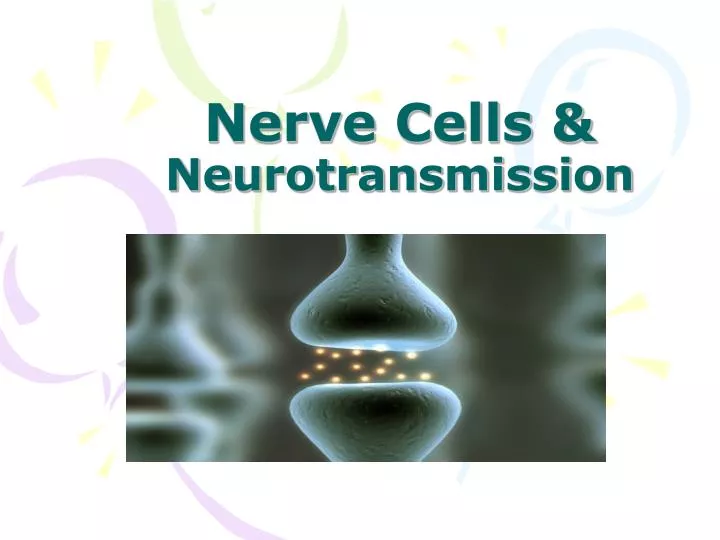 nerve cells neurotransmission