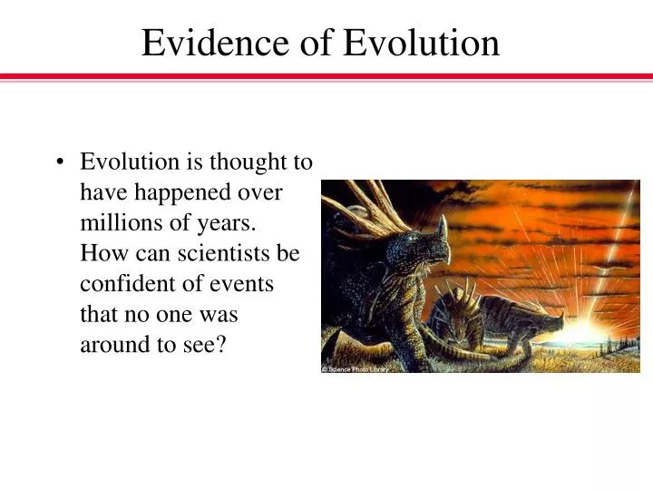 evidence of evolution