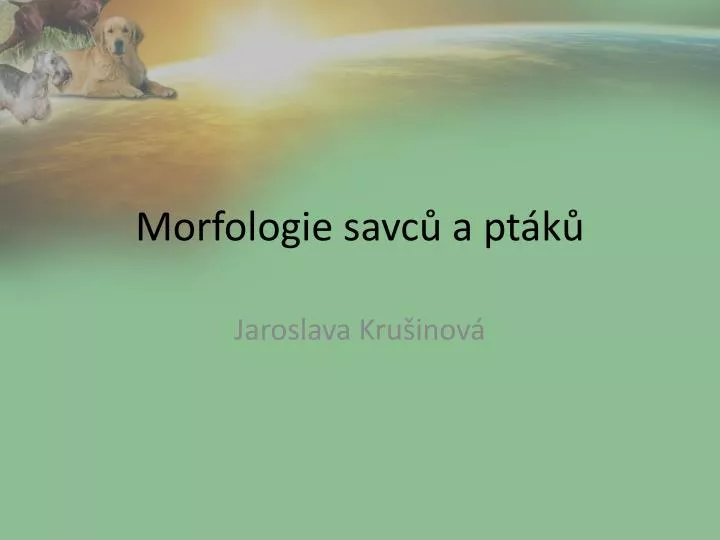 morfologie savc a pt k