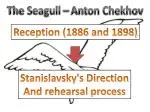 the seagull anton chekhov