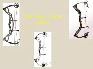 The Top 7 New Bows