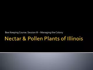 Nectar &amp; Pollen Plants of Illinois