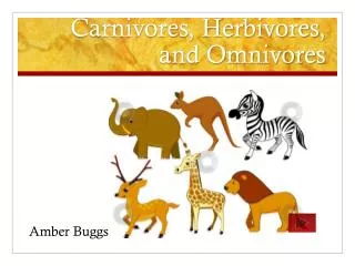 Carnivores, Herbivores, and Omnivores