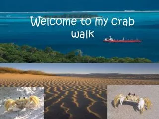 Welcome to my crab walk