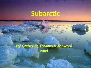 subarctic