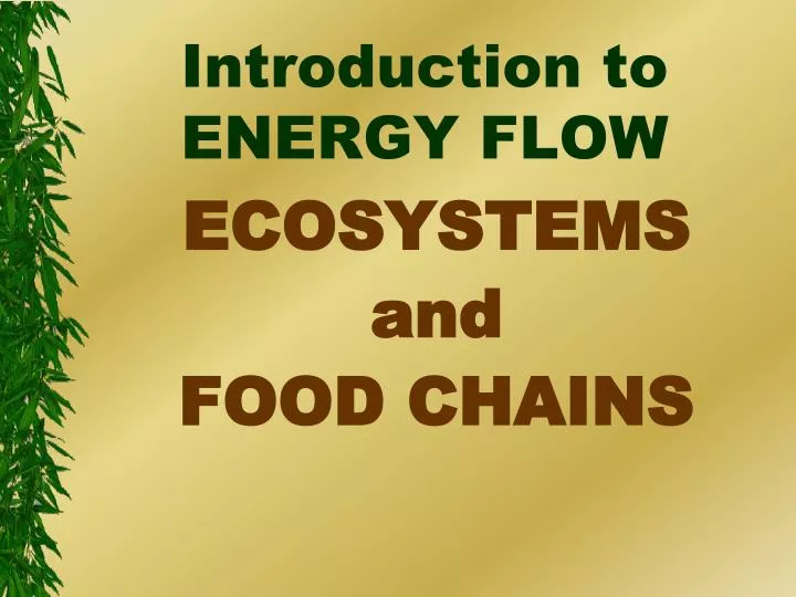 introduction to energy flow