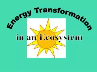 Energy Transformation