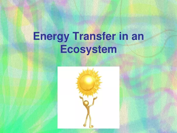 energy transfer in an ecosystem