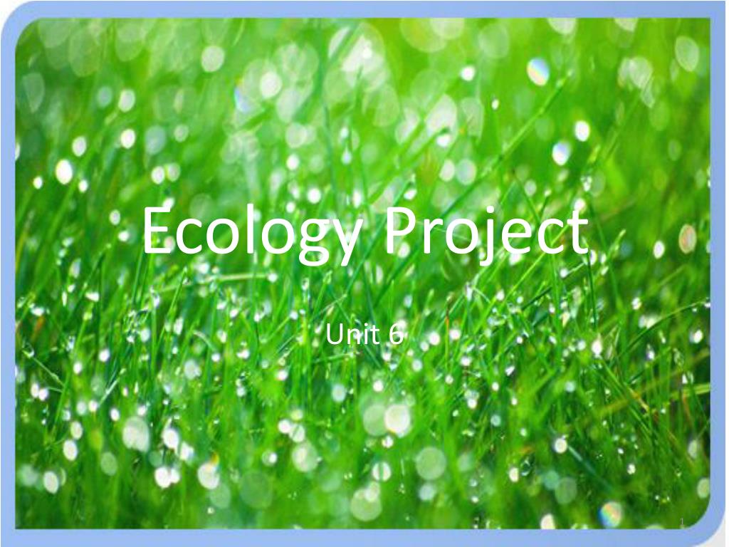 PPT - Ecology Project PowerPoint Presentation, free download - ID:2657590