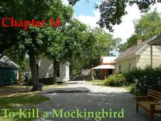 Chapter 14 To Kill a Mockingbird