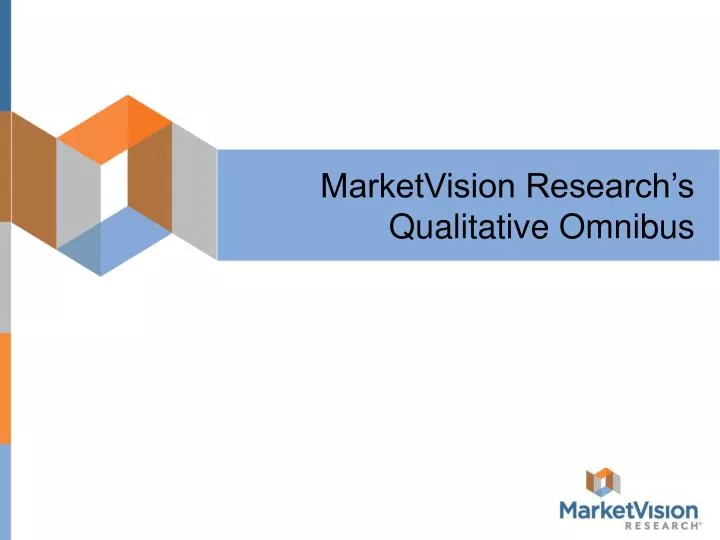 marketvision research s qualitative omnibus