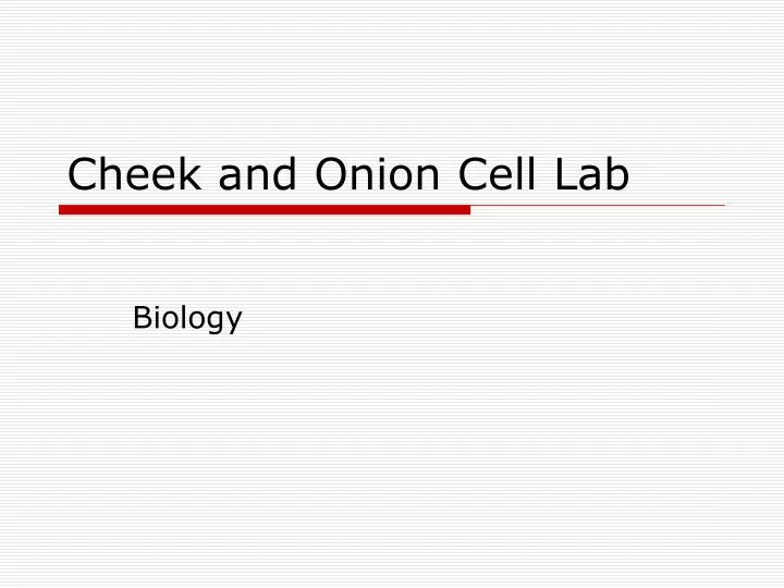 cheek and onion cell lab