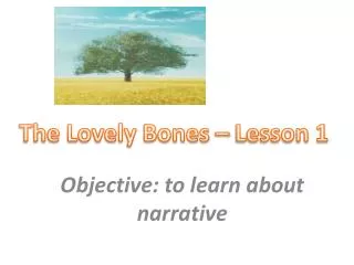 objective to learn about narrative