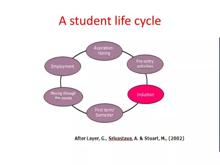 a student life cycle