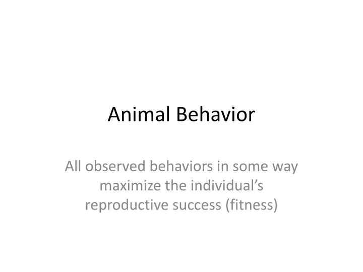 animal behavior