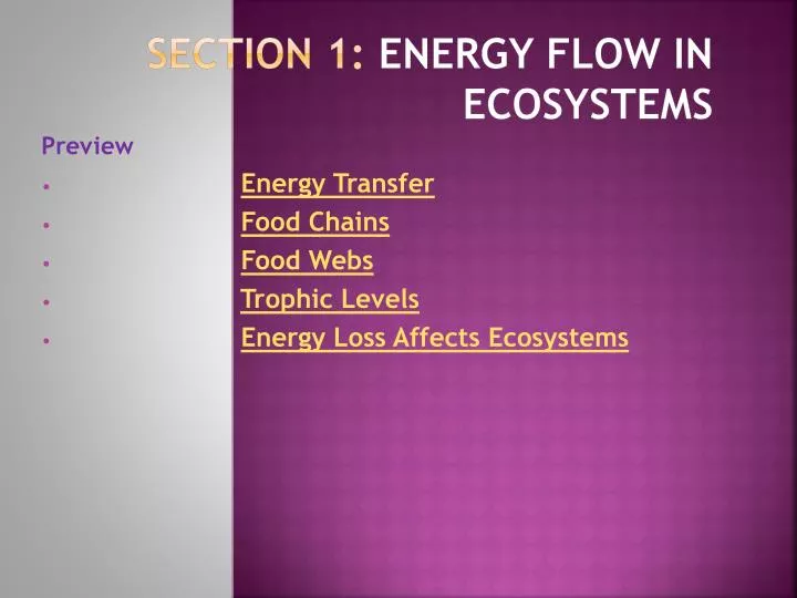 section 1 energy flow in ecosystems