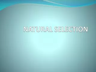 NATURAL SELECTION