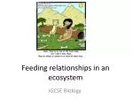 PPT - Feeding relationships PowerPoint Presentation, free download - ID ...