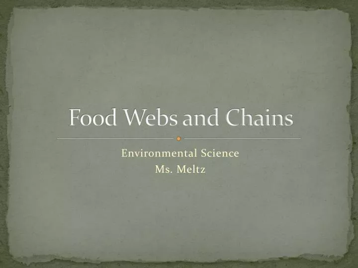 food webs and chains