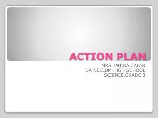 action plan