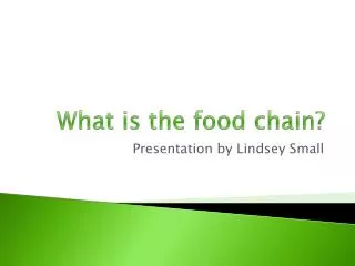 What is the food chain?