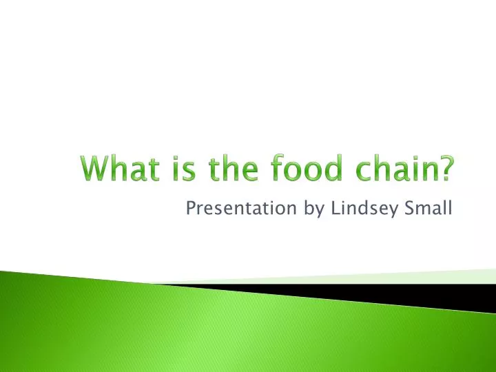 what is the food chain